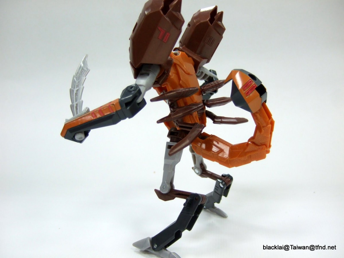 Transformers News: Transformers Robots in Disguise: RID Warrior Class Scorponok And Windblade In-Hand