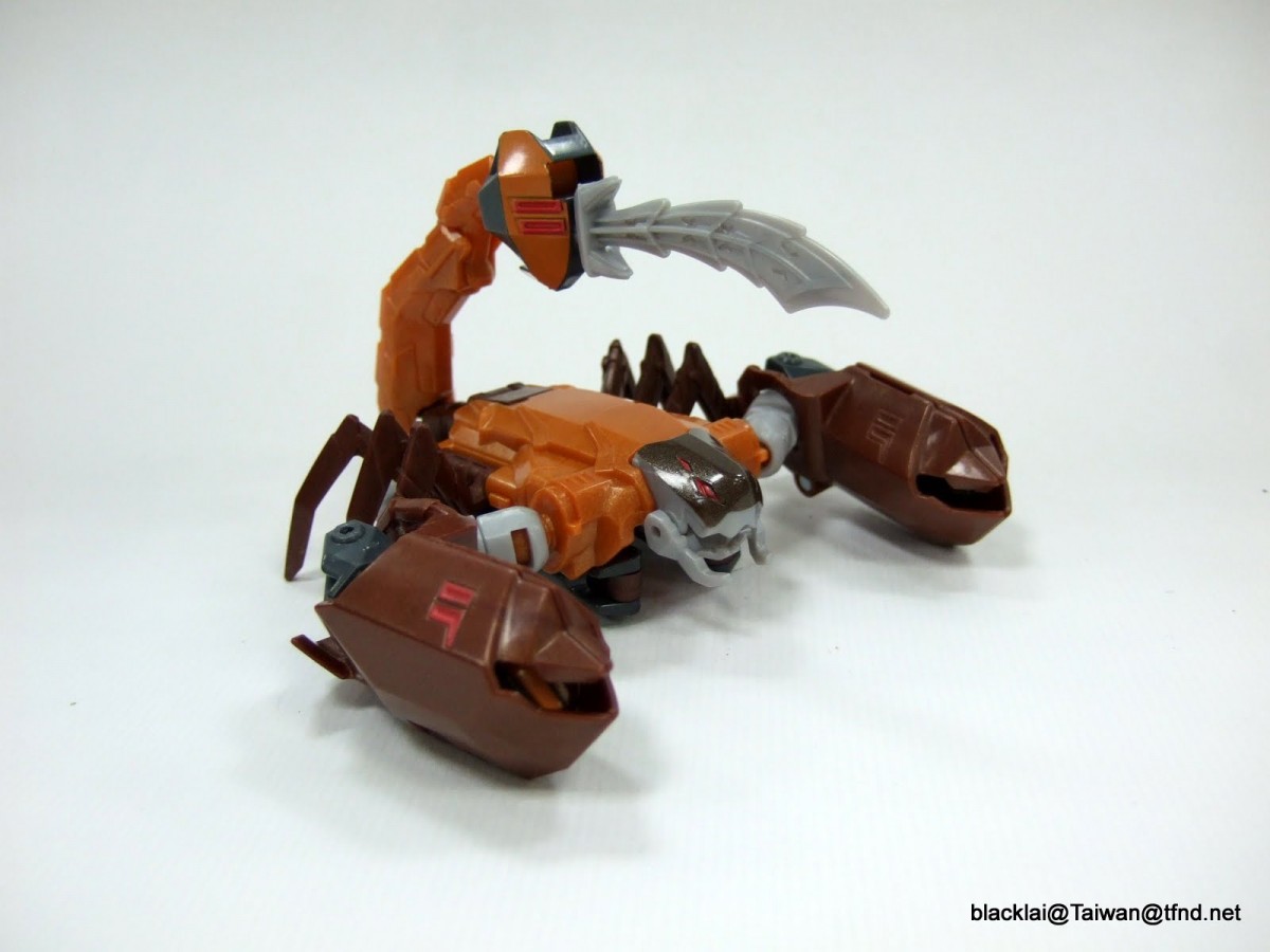 Transformers News: Transformers Robots in Disguise: RID Warrior Class Scorponok And Windblade In-Hand
