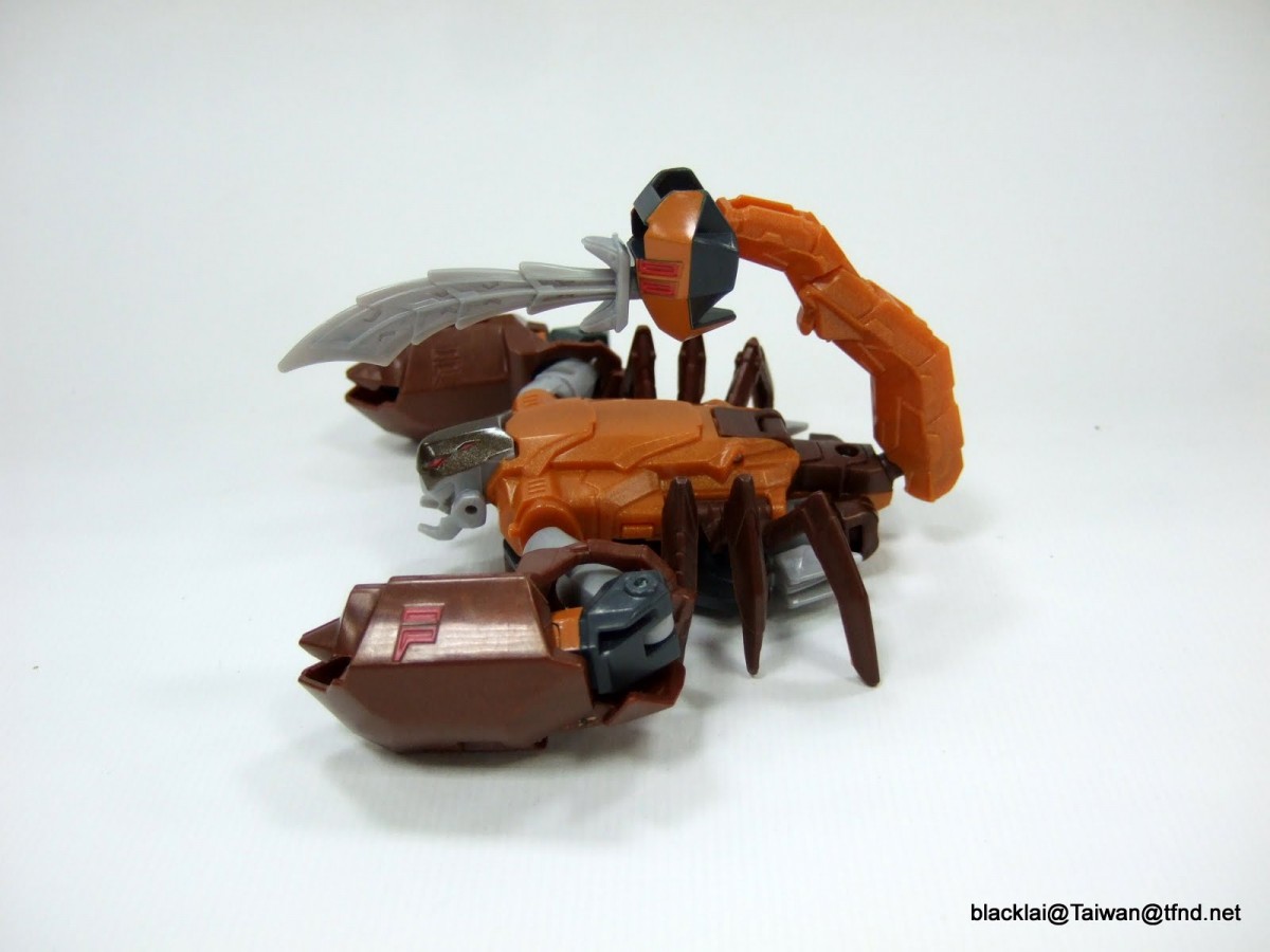 Transformers News: Transformers Robots in Disguise: RID Warrior Class Scorponok And Windblade In-Hand