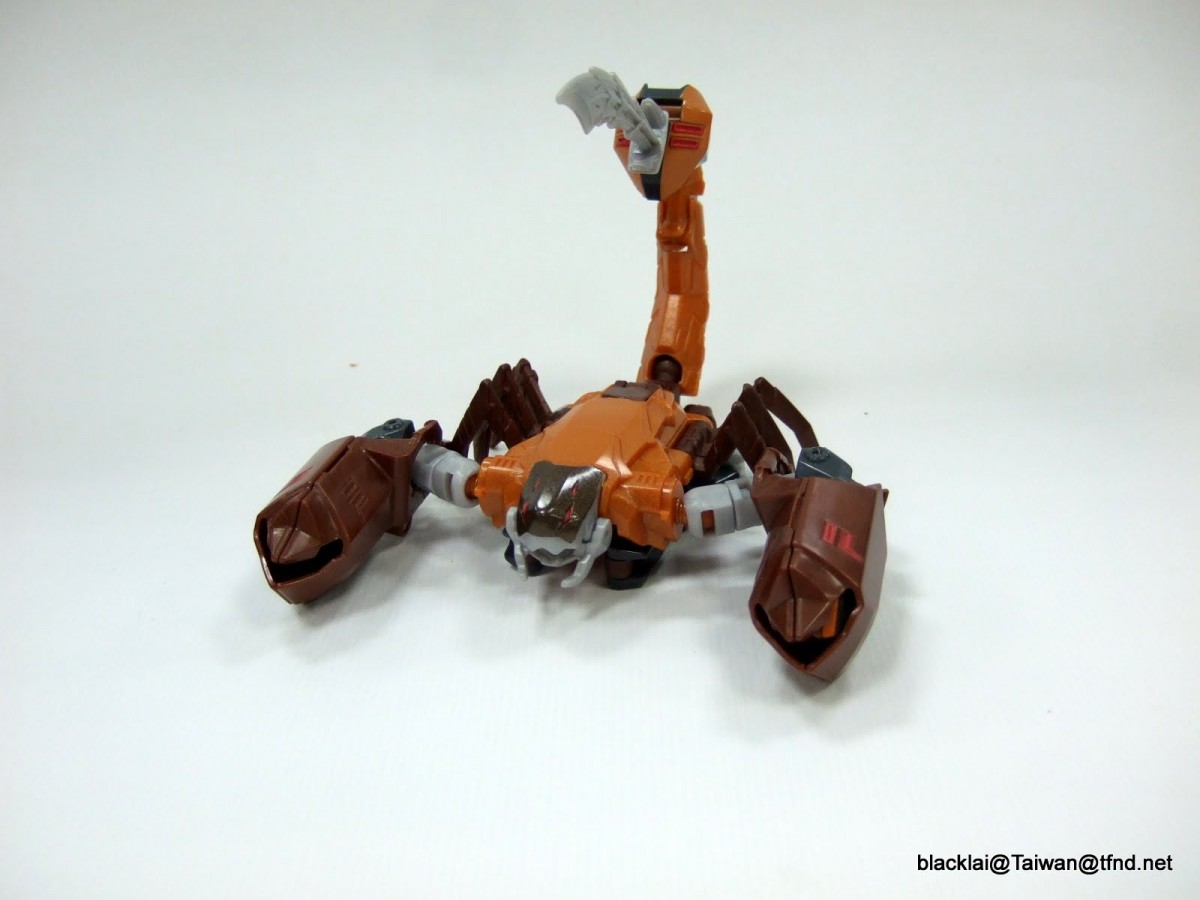 Transformers News: Transformers Robots in Disguise: RID Warrior Class Scorponok And Windblade In-Hand