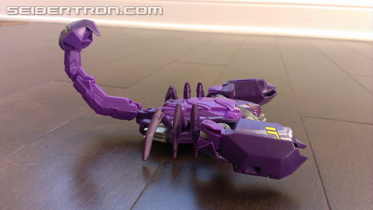 Transformers News: A Ton of Images of TRU Exclusive Robots in Disguise Paralon (Scorponok Redeco) with Review