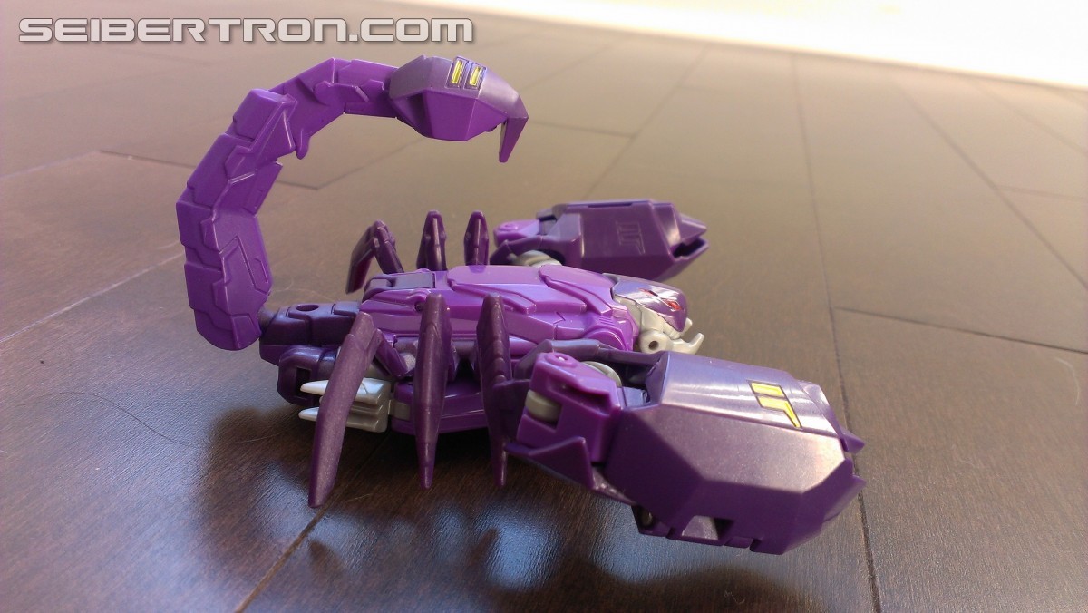 Transformers News: A Ton of Images of TRU Exclusive Robots in Disguise Paralon (Scorponok Redeco) with Review