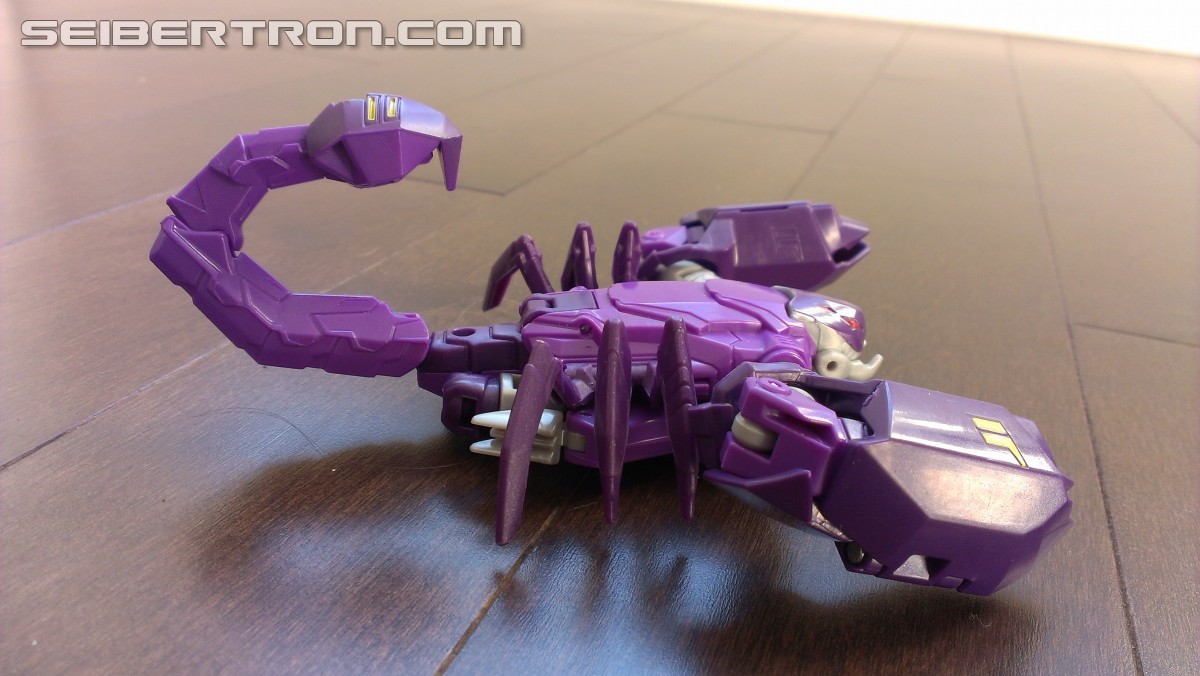 Transformers News: A Ton of Images of TRU Exclusive Robots in Disguise Paralon (Scorponok Redeco) with Review