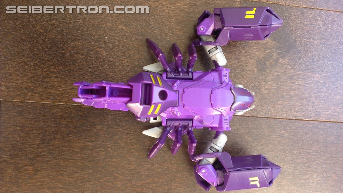 Transformers News: A Ton of Images of TRU Exclusive Robots in Disguise Paralon (Scorponok Redeco) with Review