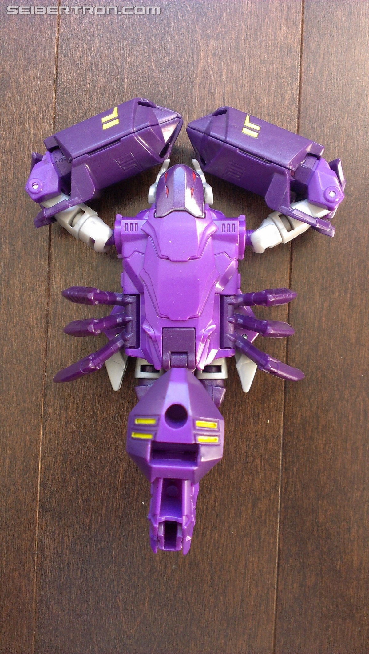 Transformers News: A Ton of Images of TRU Exclusive Robots in Disguise Paralon (Scorponok Redeco) with Review