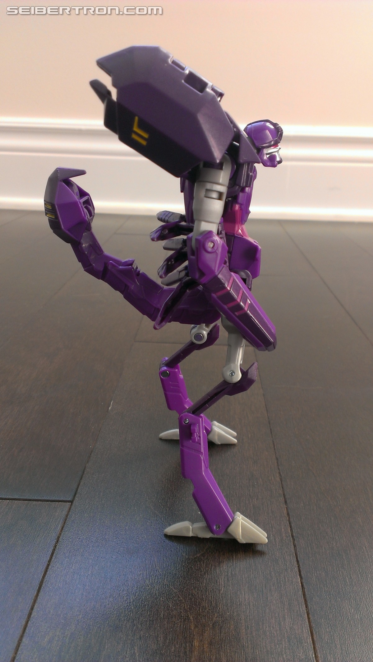 Transformers News: A Ton of Images of TRU Exclusive Robots in Disguise Paralon (Scorponok Redeco) with Review