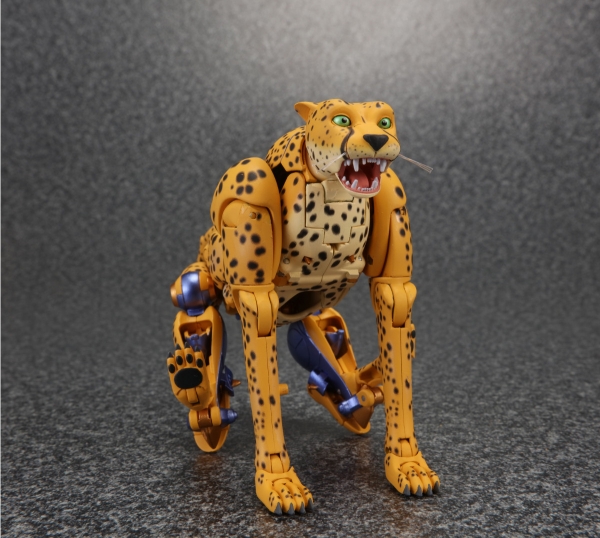 Transformers News: Official Images for Takara Tomy Transformers Masterpiece MP-34 Beast Wars Cheetor Transformers News: Official Images for Takara Tomy Transformers Masterpiece MP-34 Beast Wars Cheetor