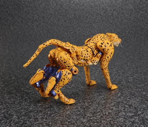 Transformers News: Official Images for Takara Tomy Transformers Masterpiece MP-34 Beast Wars Cheetor Transformers News: Official Images for Takara Tomy Transformers Masterpiece MP-34 Beast Wars Cheetor