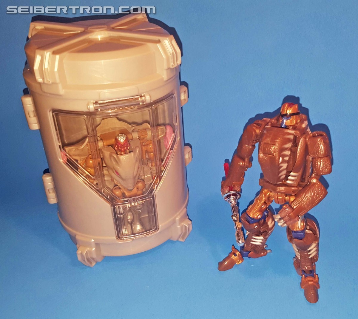 Transformers News: Transformers Robots in Disguise: Decepticon Island Showdown Set - In Hand