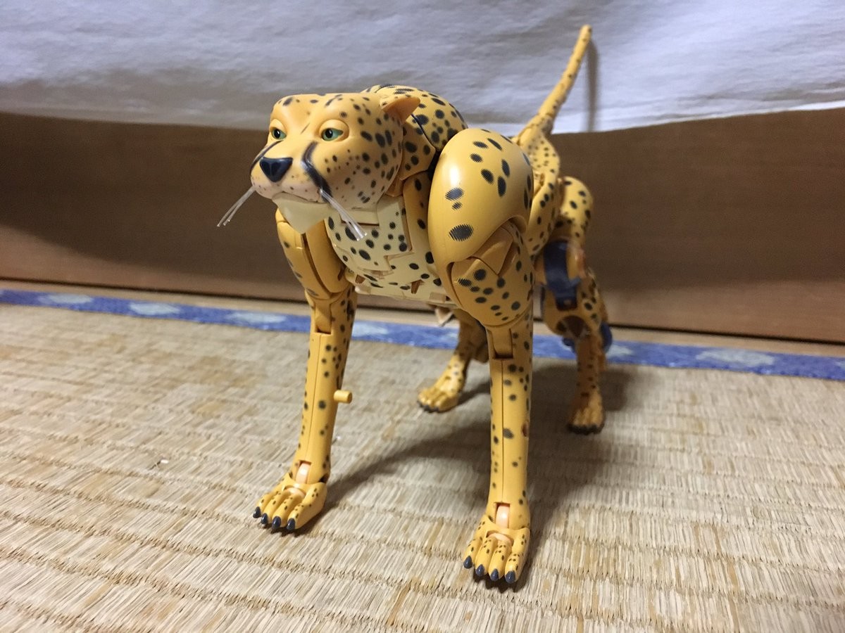 Transformers News: Masterpiece MP 34 Beast Wars Cheetor In Hand Images Transformers News: Masterpiece MP 34 Beast Wars Cheetor In Hand Images