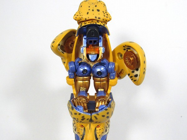Transformers News: More In-Hand Images of Transformers Masterpiece MP-34 Cheetor, Comparison with MP32 Optimus Primal