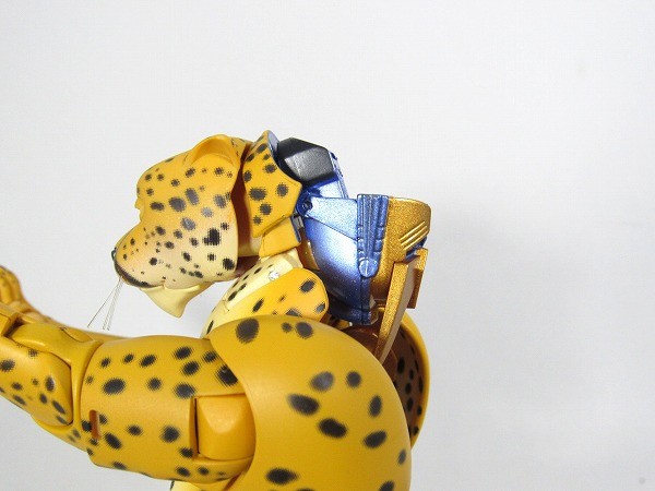 Transformers News: More In-Hand Images of Transformers Masterpiece MP-34 Cheetor, Comparison with MP32 Optimus Primal