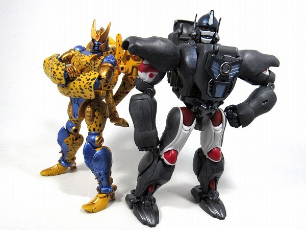 Transformers News: More In-Hand Images of Transformers Masterpiece MP-34 Cheetor, Comparison with MP32 Optimus Primal