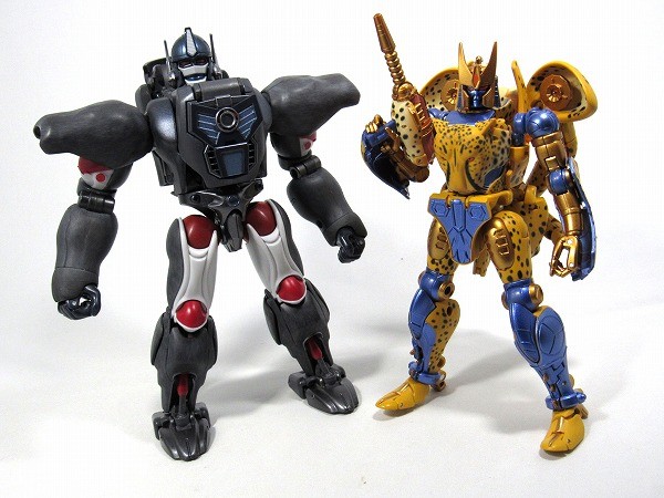 Transformers News: More In-Hand Images of Transformers Masterpiece MP-34 Cheetor, Comparison with MP32 Optimus Primal