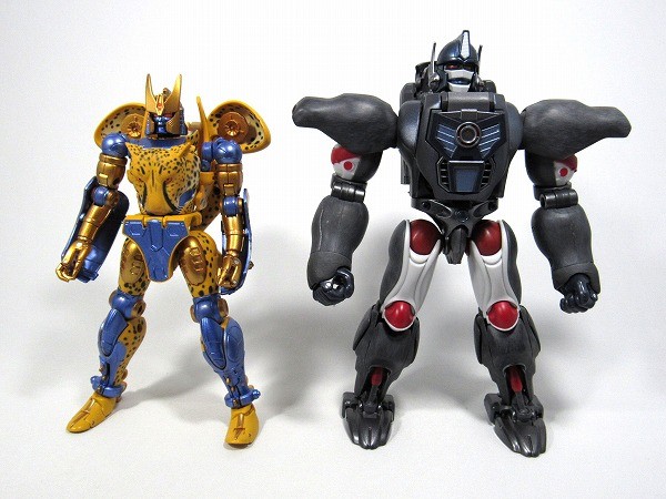 Transformers News: More In-Hand Images of Transformers Masterpiece MP-34 Cheetor, Comparison with MP32 Optimus Primal