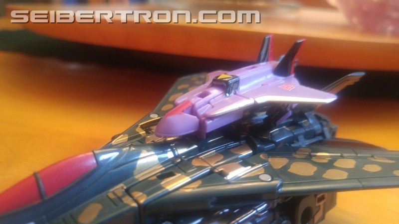 Transformers News: TFSS 5.0 Figures Now Arriving Transformers News: TFSS 5.0 Figures Now Arriving
