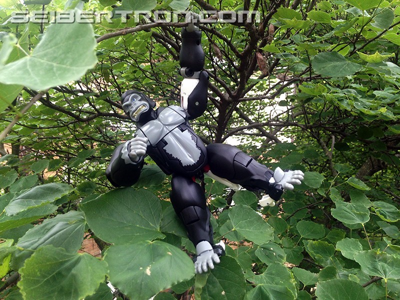 Transformers News: Monkey Business: A Review of MP-38 Masterpiece Beast Wars Optimus Primal Legendary Leader Version Transformers News: Monkey Business: A Review of MP-38 Masterpiece Beast Wars Optimus Primal Legendary Leader Version