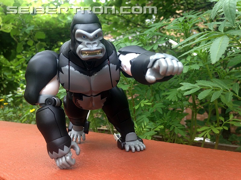 Transformers News: Monkey Business: A Review of MP-38 Masterpiece Beast Wars Optimus Primal Legendary Leader Version Transformers News: Monkey Business: A Review of MP-38 Masterpiece Beast Wars Optimus Primal Legendary Leader Version