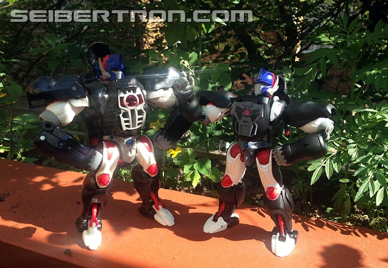Transformers News: Monkey Business: A Review of MP-38 Masterpiece Beast Wars Optimus Primal Legendary Leader Version Transformers News: Monkey Business: A Review of MP-38 Masterpiece Beast Wars Optimus Primal Legendary Leader Version
