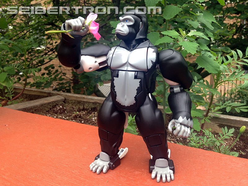 Transformers News: Monkey Business: A Review of MP-38 Masterpiece Beast Wars Optimus Primal Legendary Leader Version Transformers News: Monkey Business: A Review of MP-38 Masterpiece Beast Wars Optimus Primal Legendary Leader Version