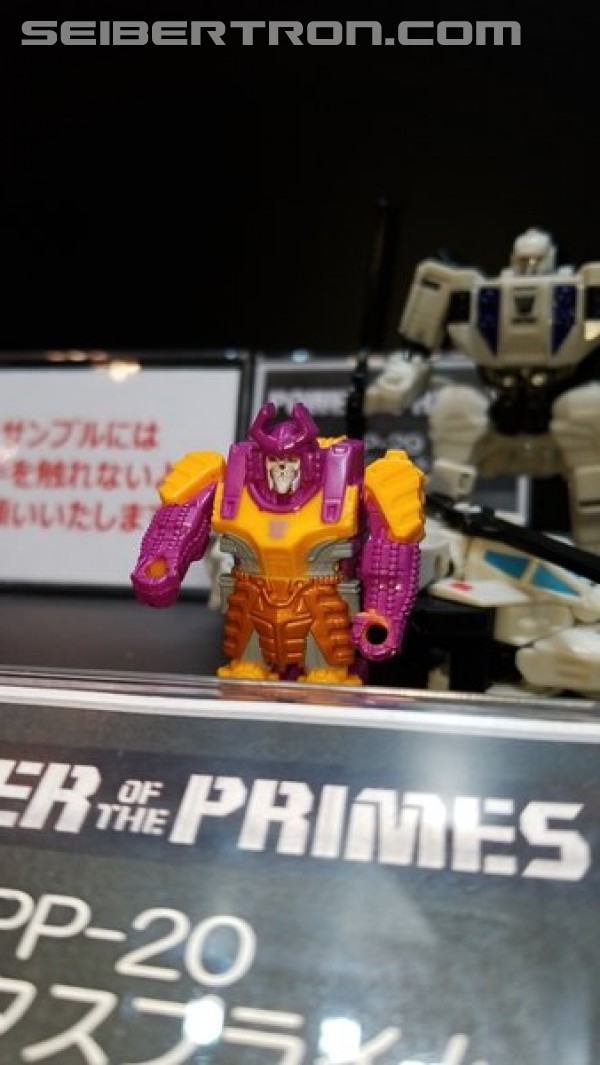 Transformers News: Wonderfest 2018 - Transformers Power of the Primes Display #wf2018w