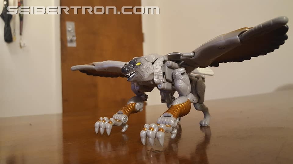 Transformers News: Seibertron.com Transformers Photo Challenge #19: Shape Shifting Shenanigans Transformers News: Seibertron.com Transformers Photo Challenge #19: Shape Shifting Shenanigans