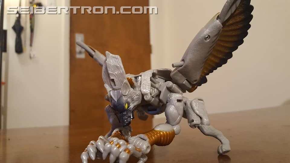 Transformers News: Seibertron.com Transformers Photo Challenge #19: Shape Shifting Shenanigans Transformers News: Seibertron.com Transformers Photo Challenge #19: Shape Shifting Shenanigans