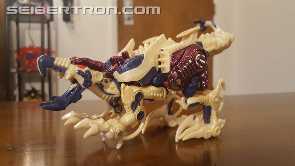 Transformers News: Seibertron.com Transformers Photo Challenge #19: Shape Shifting Shenanigans Transformers News: Seibertron.com Transformers Photo Challenge #19: Shape Shifting Shenanigans