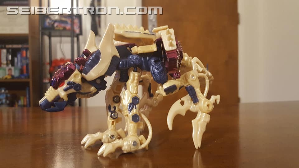 Transformers News: Seibertron.com Transformers Photo Challenge #19: Shape Shifting Shenanigans Transformers News: Seibertron.com Transformers Photo Challenge #19: Shape Shifting Shenanigans