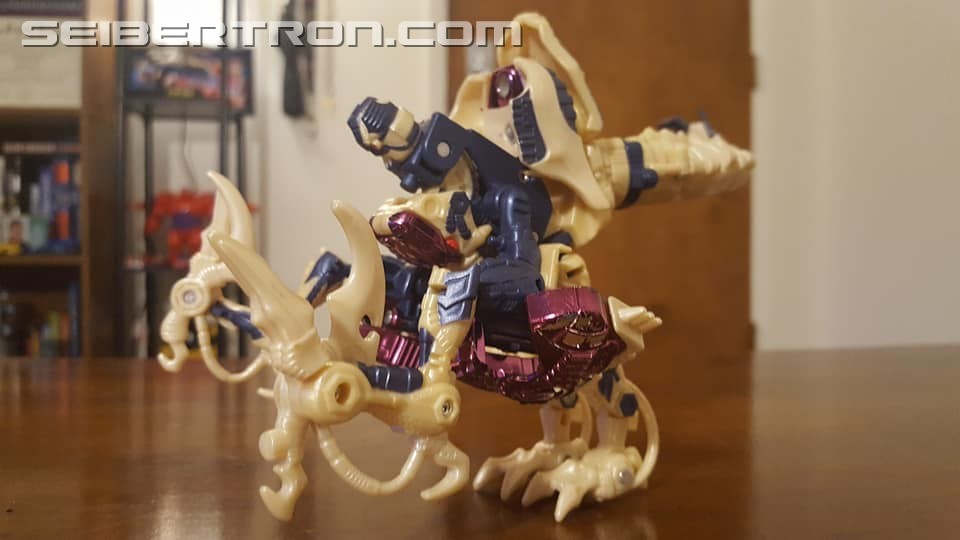 Transformers News: Seibertron.com Transformers Photo Challenge #19: Shape Shifting Shenanigans Transformers News: Seibertron.com Transformers Photo Challenge #19: Shape Shifting Shenanigans