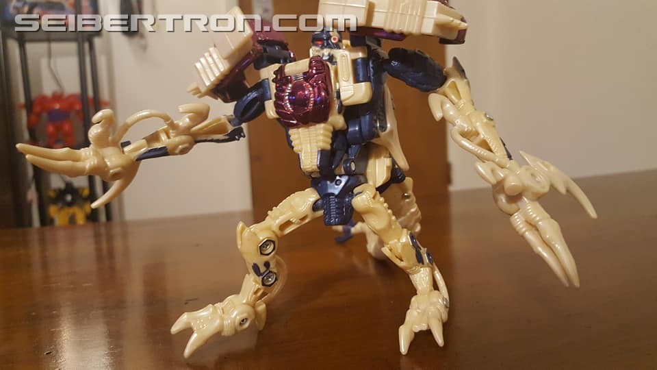 Transformers News: Seibertron.com Transformers Photo Challenge #19: Shape Shifting Shenanigans Transformers News: Seibertron.com Transformers Photo Challenge #19: Shape Shifting Shenanigans