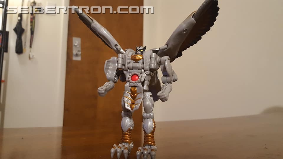 Transformers News: Seibertron.com Transformers Photo Challenge #19: Shape Shifting Shenanigans Transformers News: Seibertron.com Transformers Photo Challenge #19: Shape Shifting Shenanigans