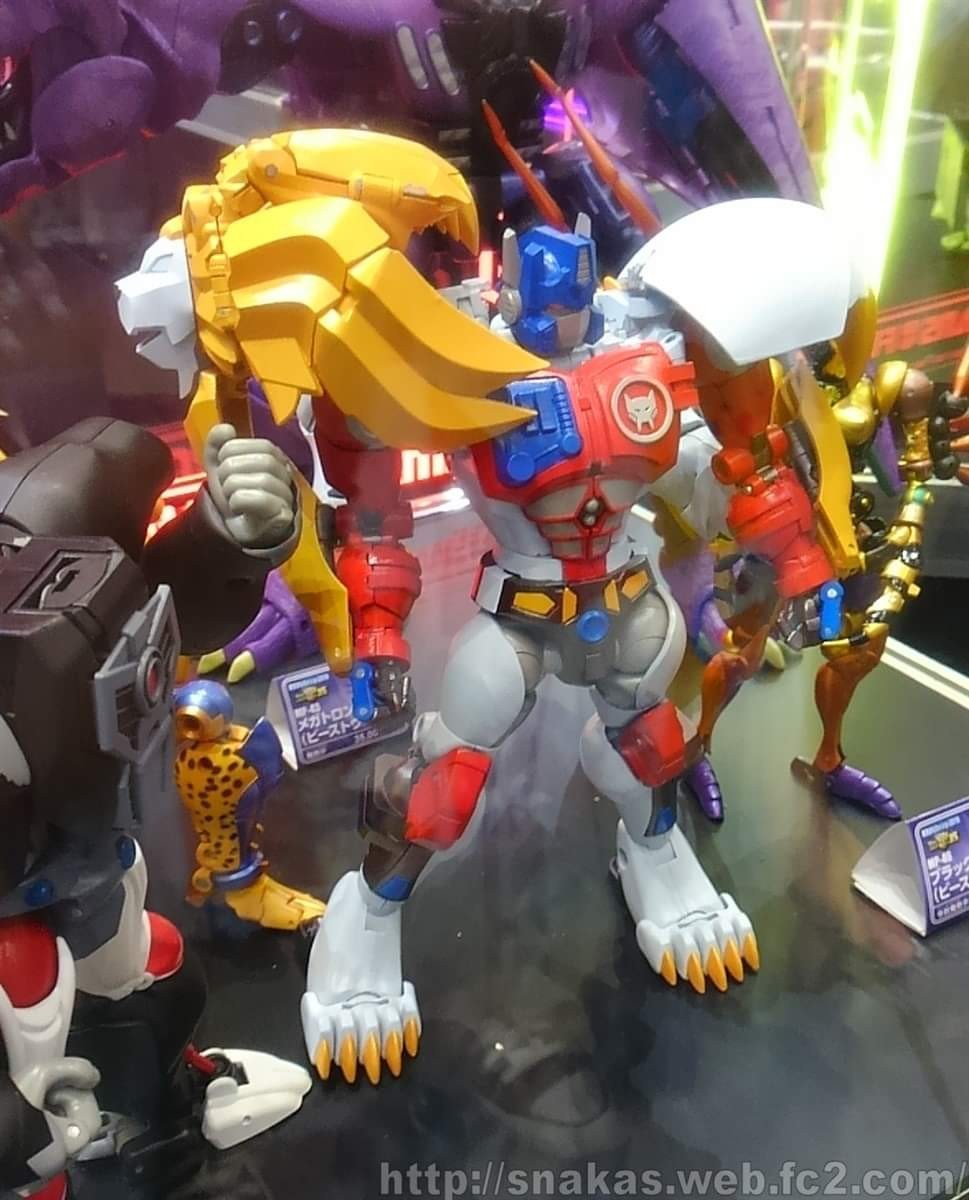 Transformers News: More Images Tokyo Toy Show 2019 Masterpiece Display