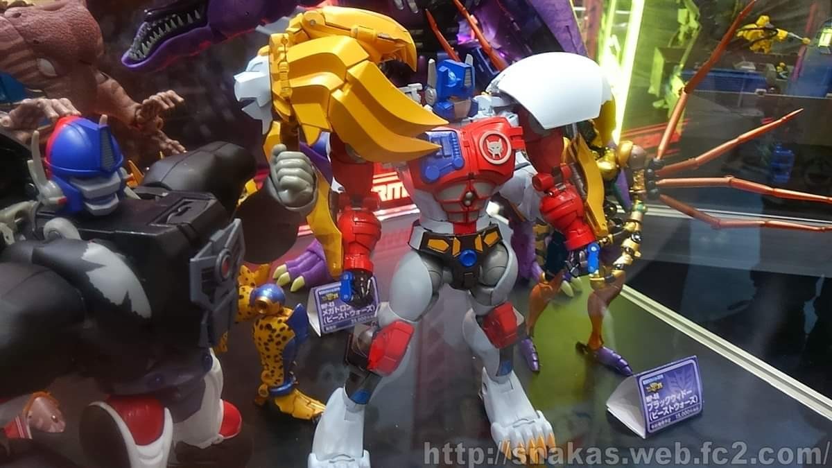 Transformers News: More Images Tokyo Toy Show 2019 Masterpiece Display