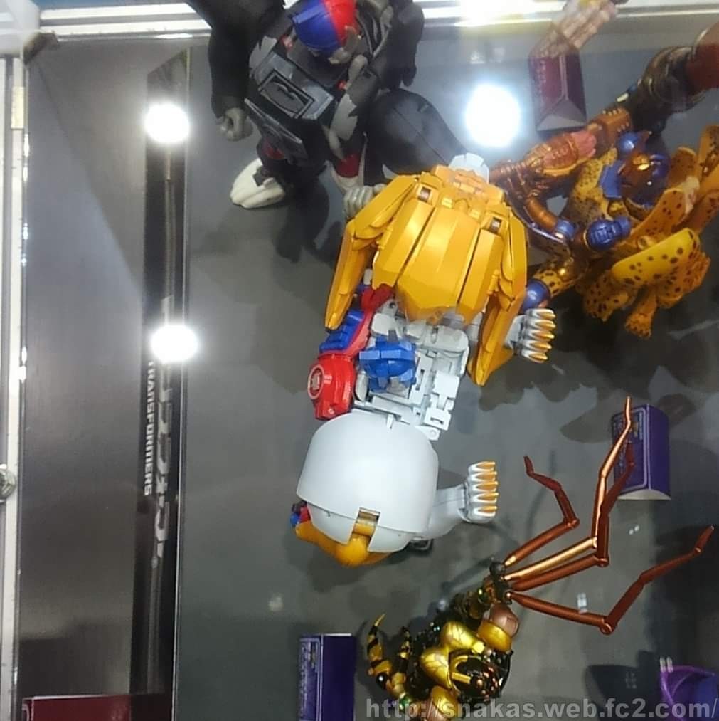 Transformers News: More Images Tokyo Toy Show 2019 Masterpiece Display