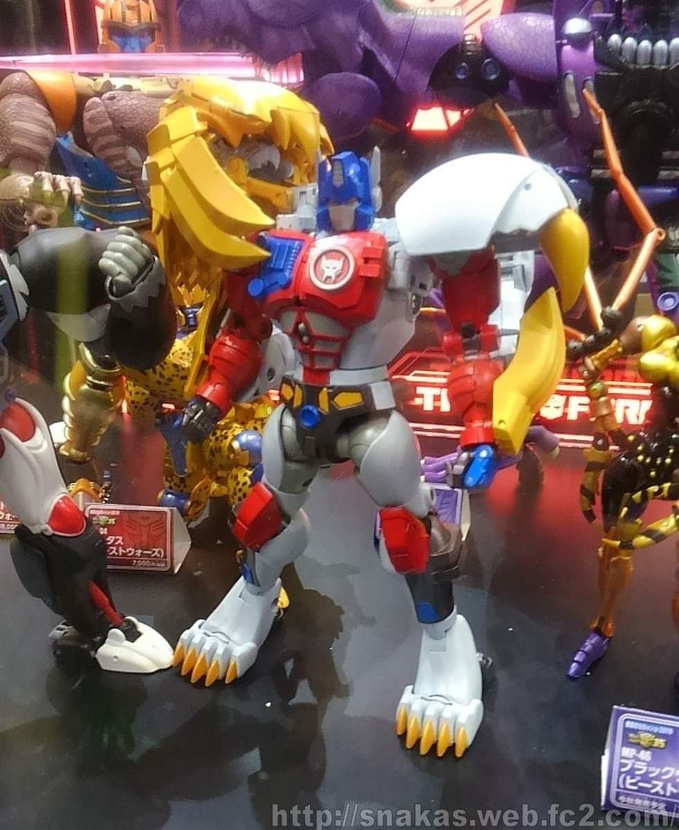Transformers News: More Images Tokyo Toy Show 2019 Masterpiece Display