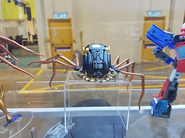 Transformers News: More Images of MP-46 Blackarachnia Showing the Spider Correctly Transformed at Multiple Angles