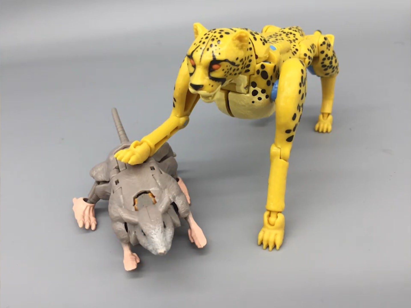 Transformers News: English Video review of Kingdom Cheetor Transformers News: English Video review of Kingdom Cheetor