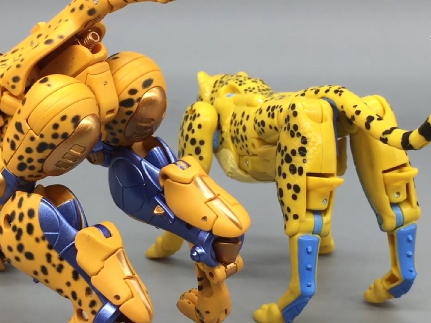 Transformers News: English Video review of Kingdom Cheetor Transformers News: English Video review of Kingdom Cheetor