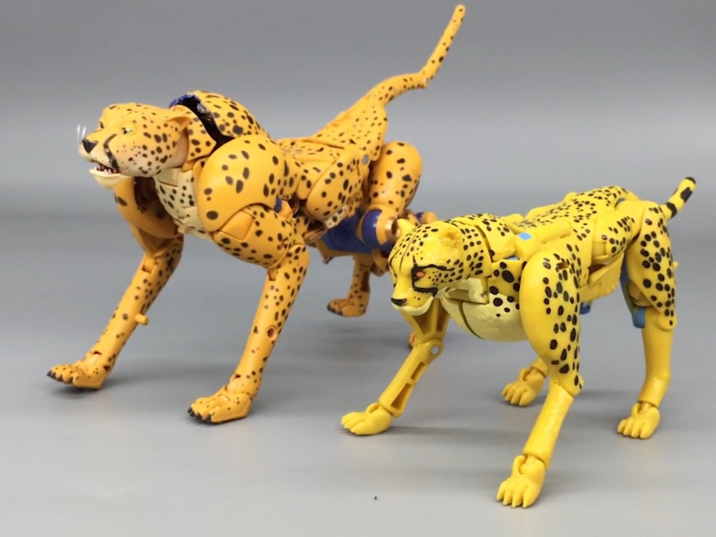 Transformers News: English Video review of Kingdom Cheetor Transformers News: English Video review of Kingdom Cheetor
