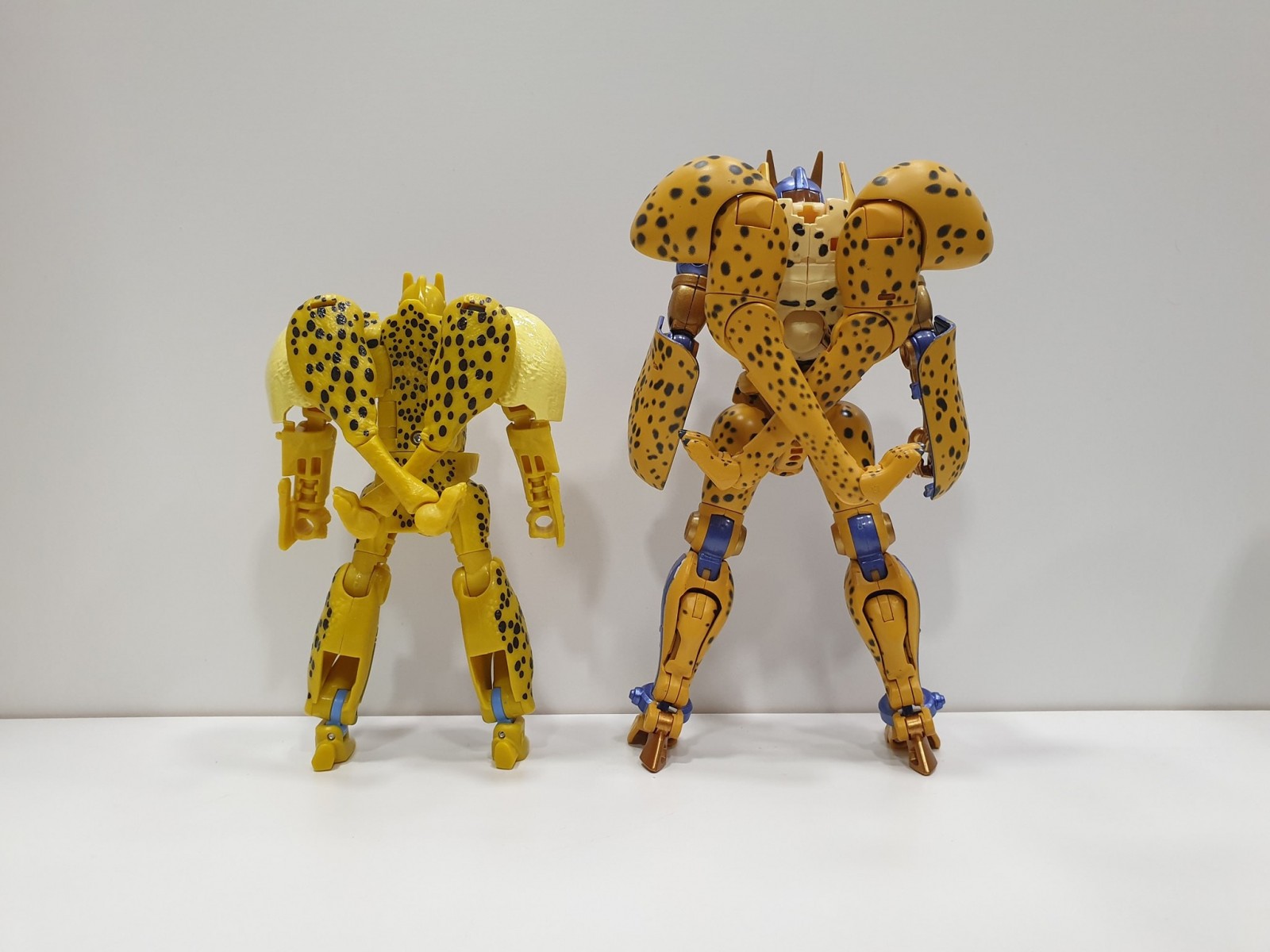 Transformers News: Comparison images of Kingdom Cheetor and Blackarachnia with their Masterpiece figures Transformers News: Comparison images of Kingdom Cheetor and Blackarachnia with their Masterpiece figures