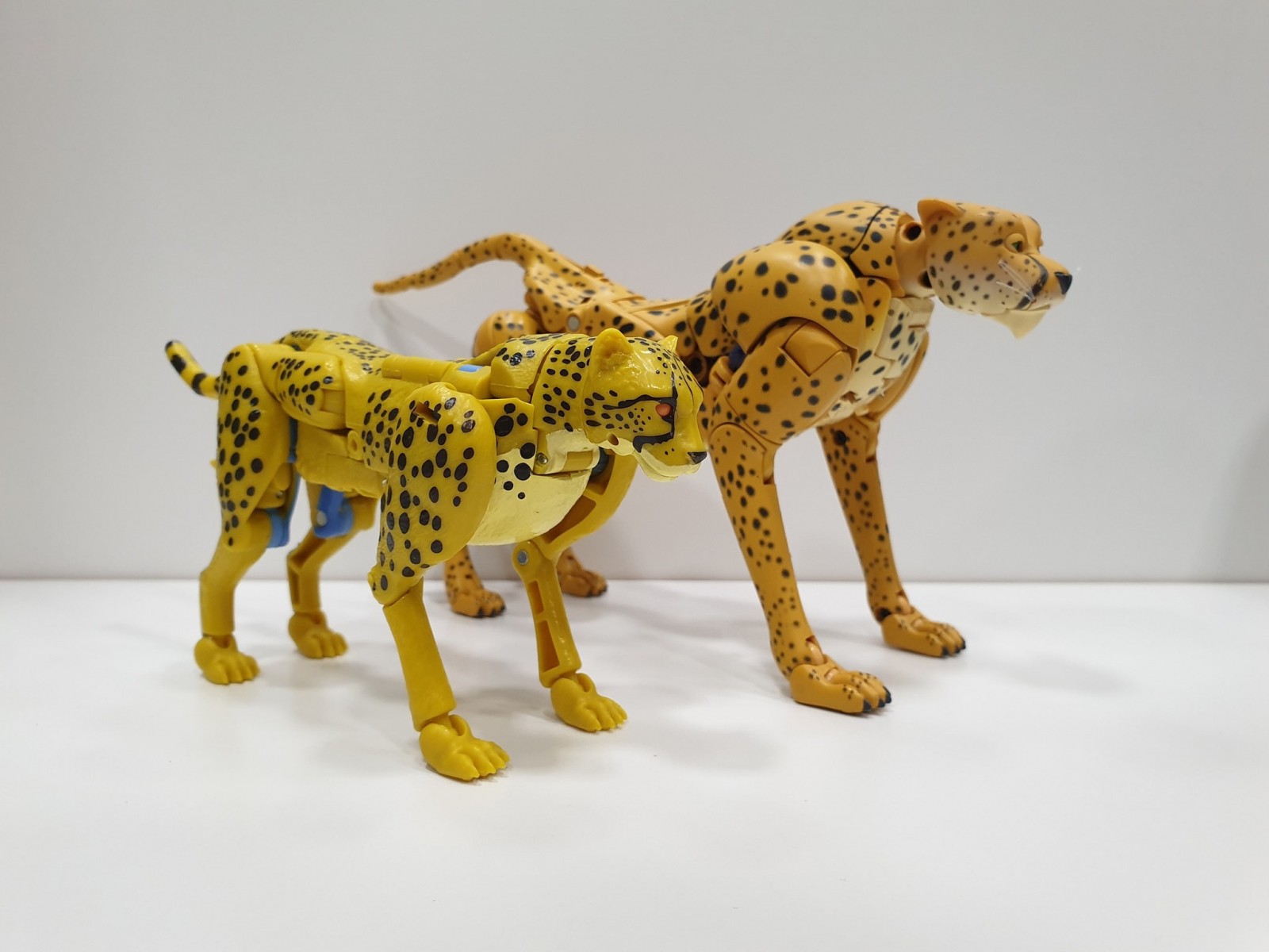 Transformers News: Comparison images of Kingdom Cheetor and Blackarachnia with their Masterpiece figures Transformers News: Comparison images of Kingdom Cheetor and Blackarachnia with their Masterpiece figures