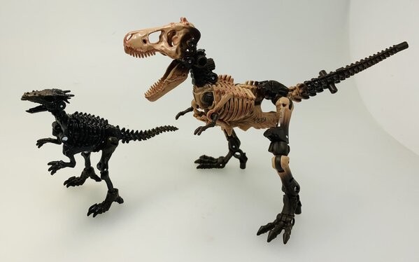 Transformers News: Comparison images of Kingdom Cheetor and Blackarachnia with their Masterpiece figures Transformers News: Comparison images of Kingdom Cheetor and Blackarachnia with their Masterpiece figures