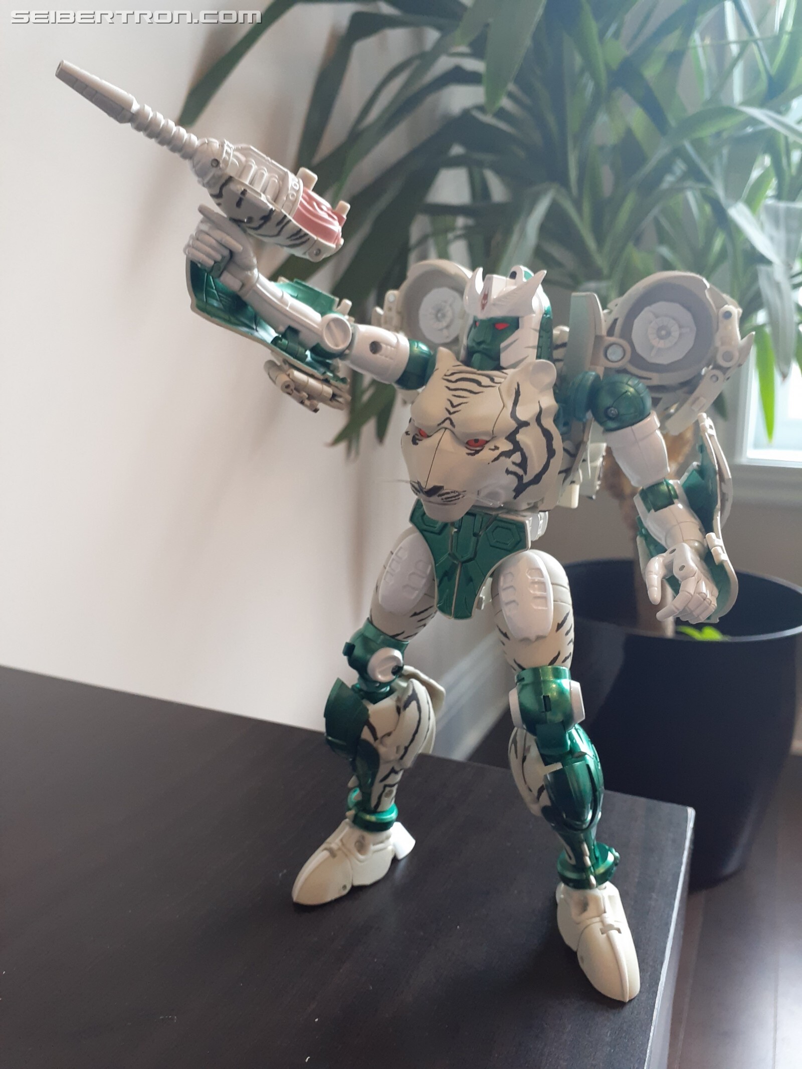 Transformers News: Pictorial Review for Transformers MP-50 Tigatron