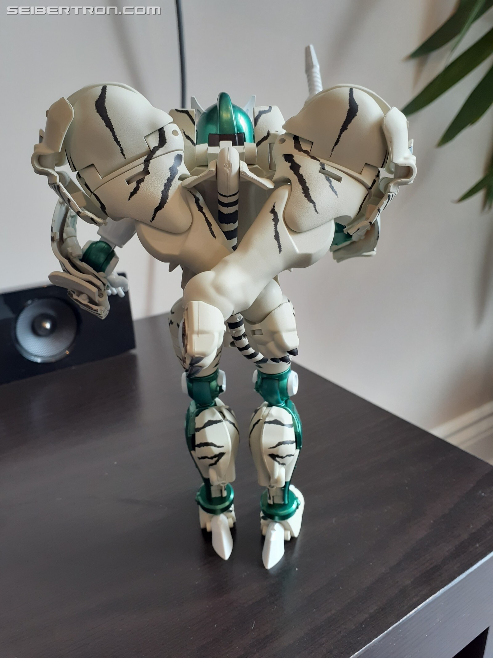 Transformers News: Pictorial Review for Transformers MP-50 Tigatron