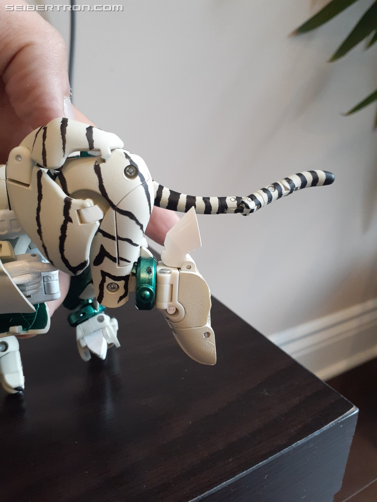 Transformers News: Pictorial Review for Transformers MP-50 Tigatron
