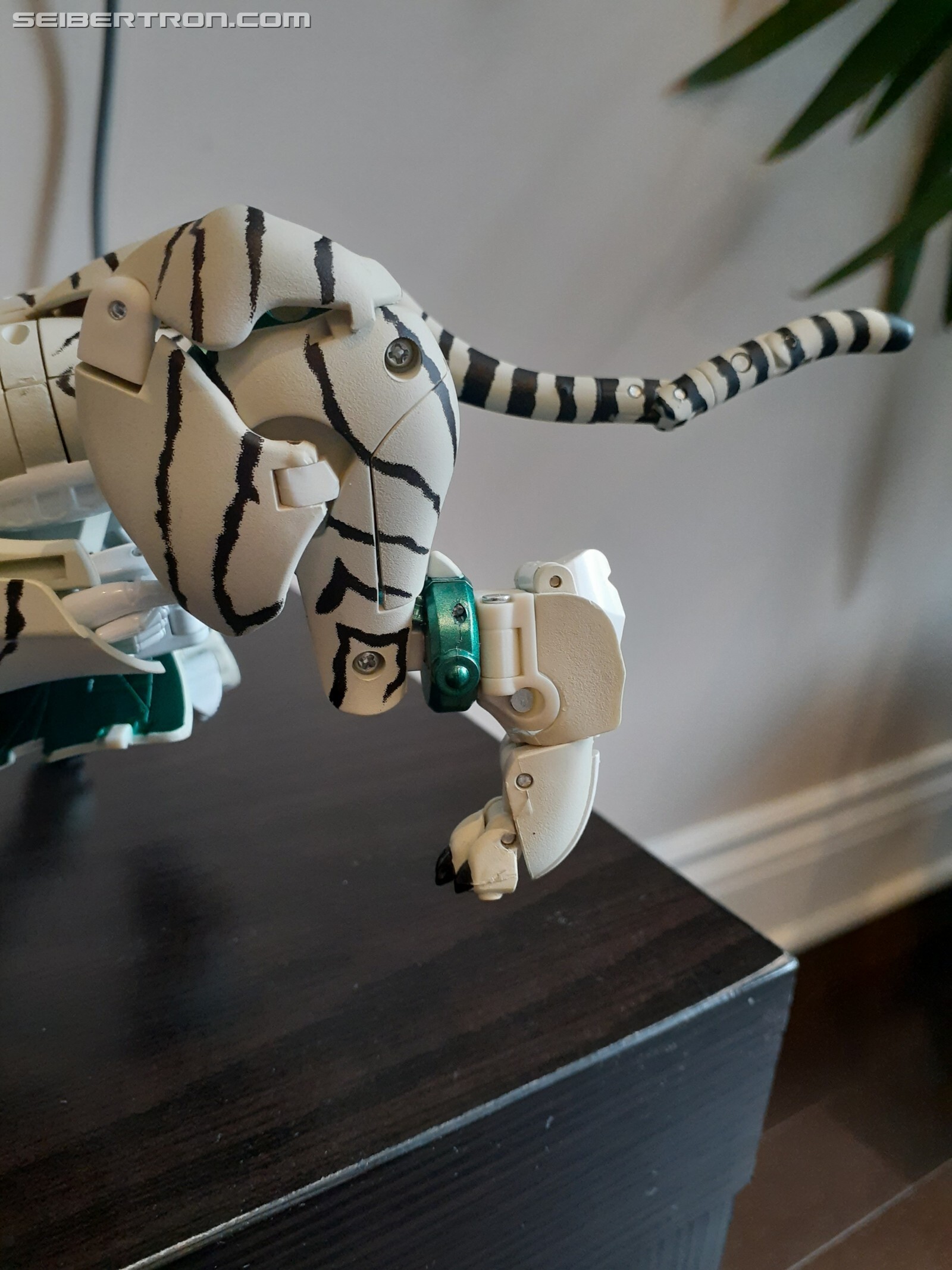 Transformers News: Pictorial Review for Transformers MP-50 Tigatron