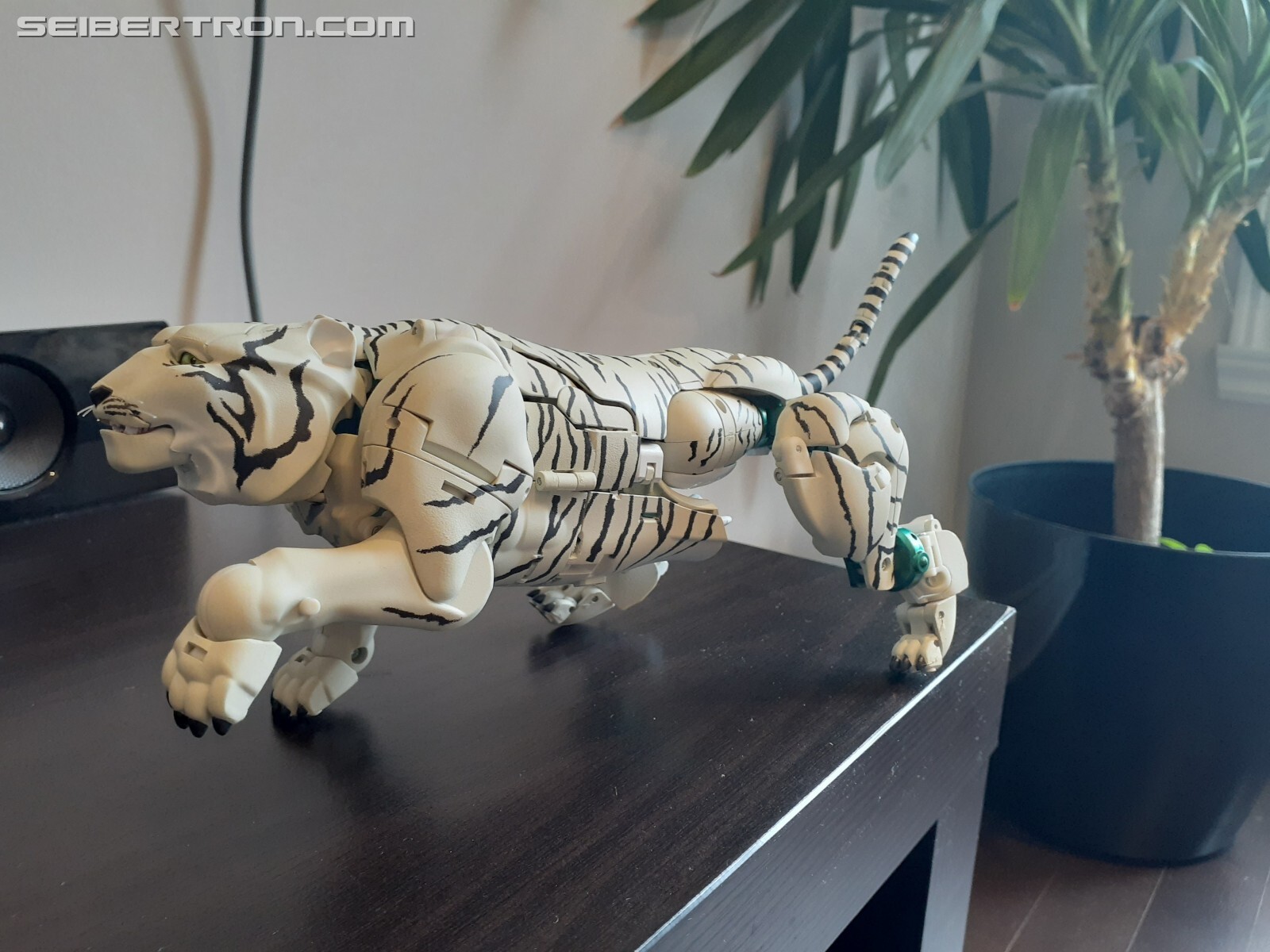 Transformers News: Pictorial Review for Transformers MP-50 Tigatron