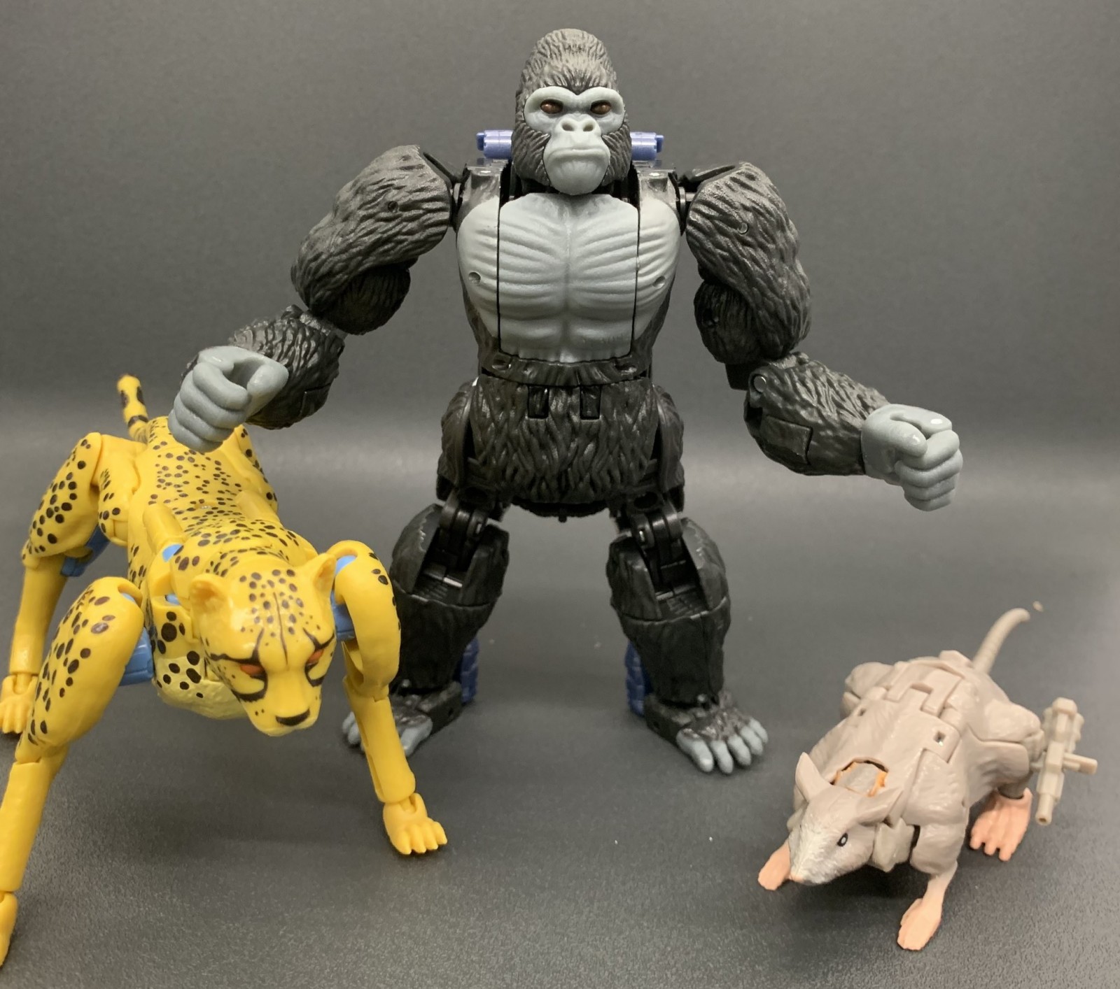 Transformers News: Takara Tomy Share Group Shot Of Optimus Primal, Cheetor and Rattrap