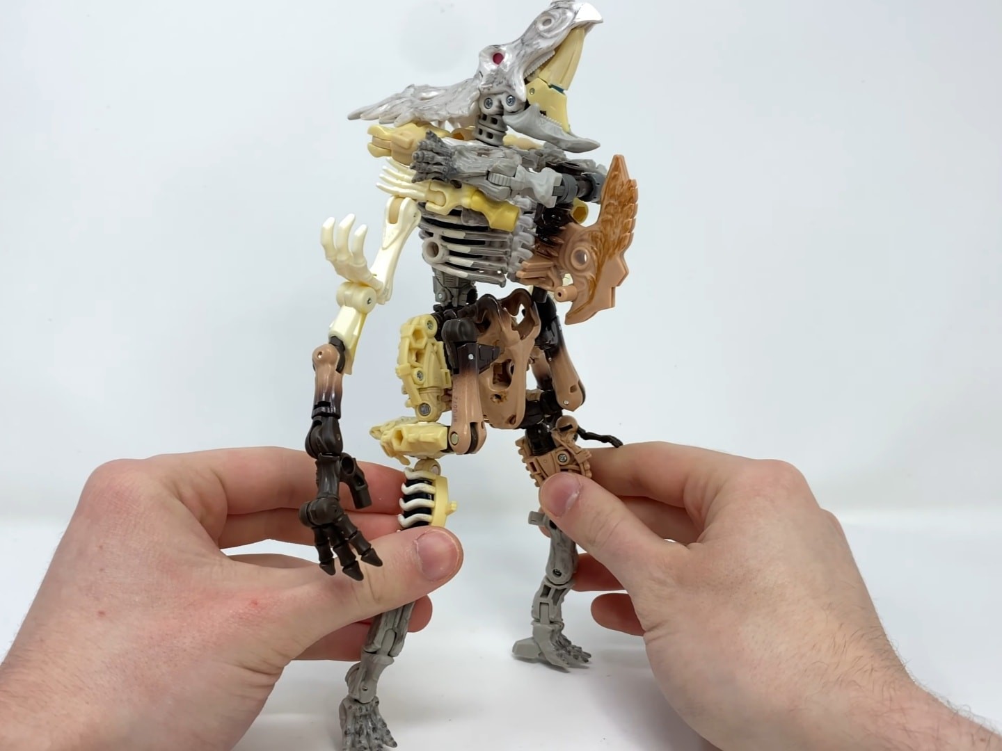 Transformers News: Review and In Hand Images of Kingdom Rhinox and Wingfinger Transformers News: Review and In Hand Images of Kingdom Rhinox and Wingfinger